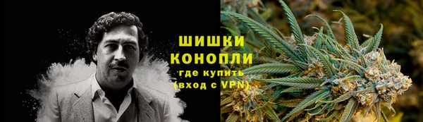 индика Краснослободск