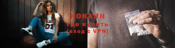 индика Краснослободск