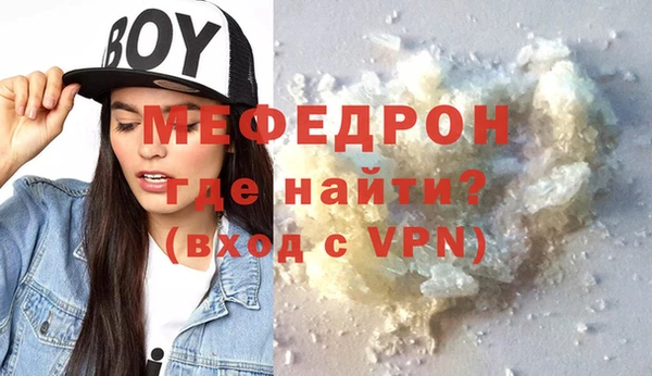 индика Краснослободск