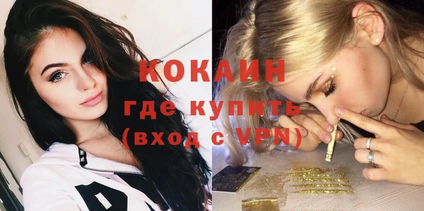 индика Краснослободск
