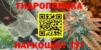 MDMA Premium VHQ Заводоуковск