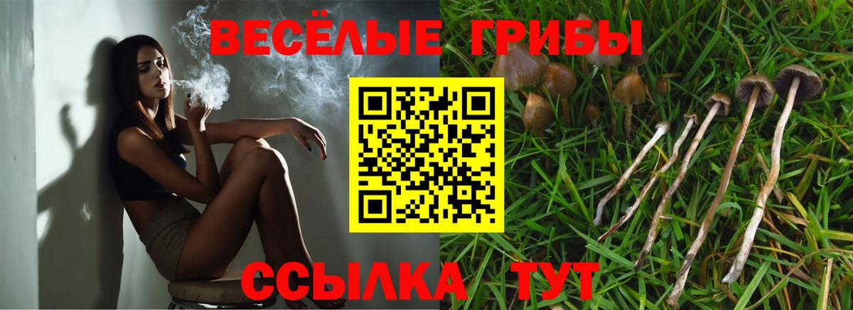 Псилоцибиновые грибы мицелий Нижневартовск